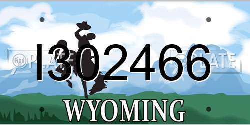 I302466 Wyoming License Plate