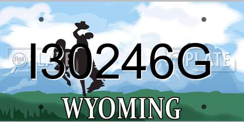 I30246G Wyoming License Plate