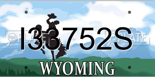 I33752S Wyoming License Plate