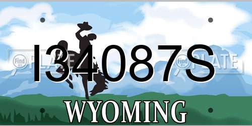I34087S Wyoming License Plate