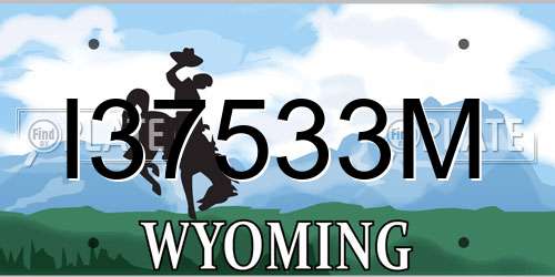 I37533M Wyoming License Plate