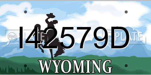 I42579D Wyoming License Plate