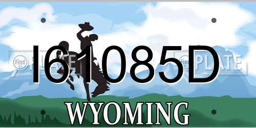 I61085D Wyoming License Plate
