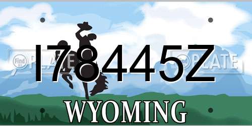 I78445Z Wyoming License Plate