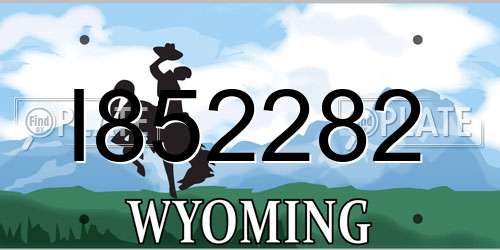 I852282 Wyoming License Plate