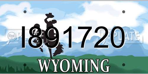 I891720 Wyoming License Plate