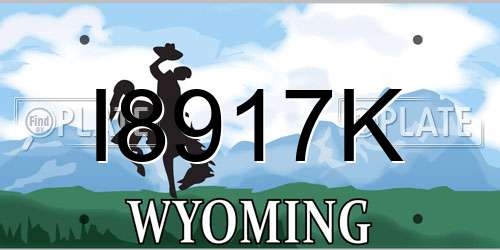 I8917K Wyoming License Plate
