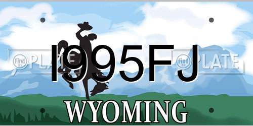 I995FJ Wyoming License Plate