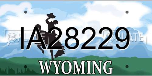 IA28229 Wyoming License Plate