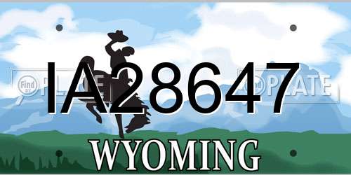 IA28647 Wyoming License Plate