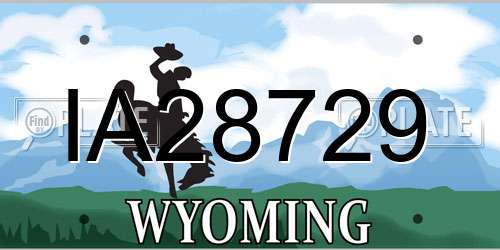 IA28729 Wyoming License Plate