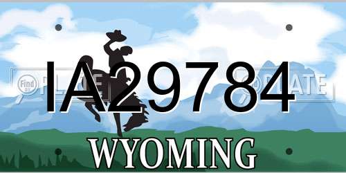 IA29784 Wyoming License Plate