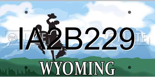 IA2B229 Wyoming License Plate