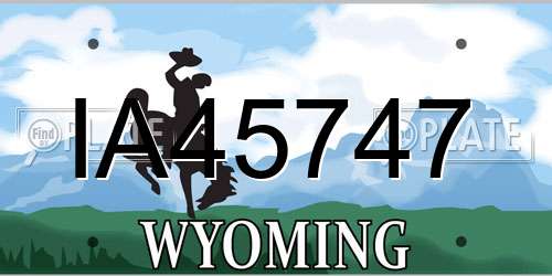 IA45747 Wyoming License Plate