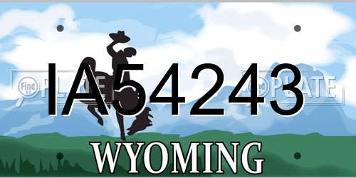 IA54243 Wyoming License Plate