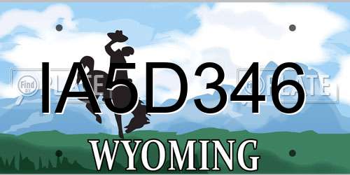 IA5D346 Wyoming License Plate