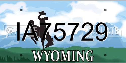 IA75729 Wyoming License Plate