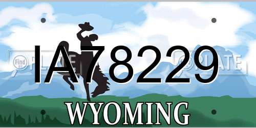 IA78229 Wyoming License Plate