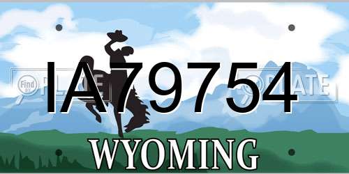IA79754 Wyoming License Plate