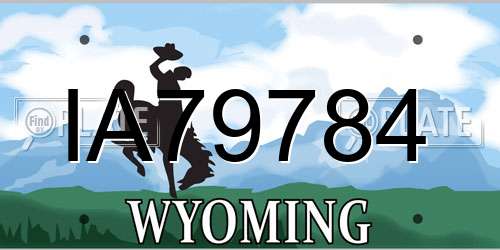 IA79784 Wyoming License Plate