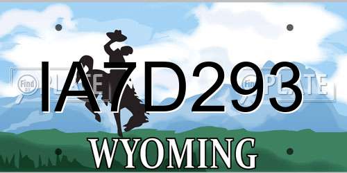 IA7D293 Wyoming License Plate