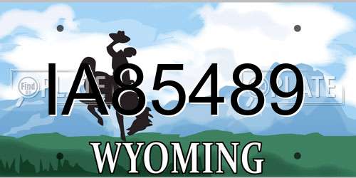 IA85489 Wyoming License Plate