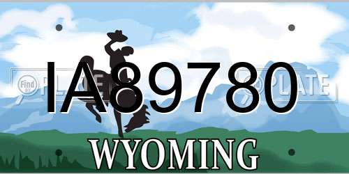 IA89780 Wyoming License Plate