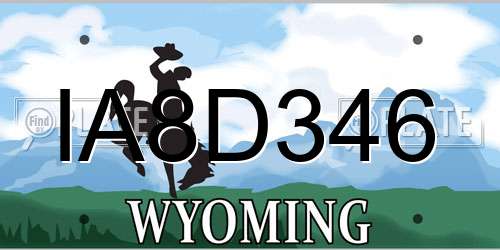 IA8D346 Wyoming License Plate