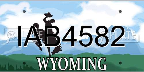 IAB4582 Wyoming License Plate