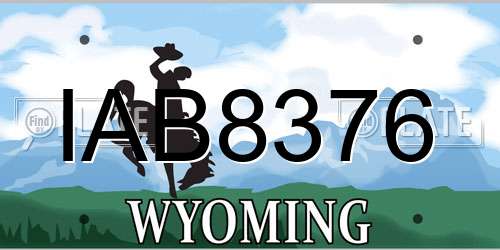 IAB8376 Wyoming License Plate