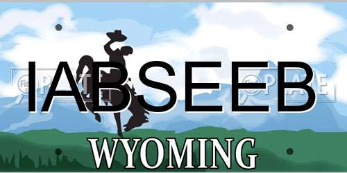 IABSEEB Wyoming License Plate