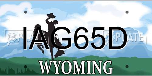 IAG65D Wyoming License Plate