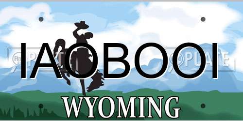 IAOBOOI Wyoming License Plate