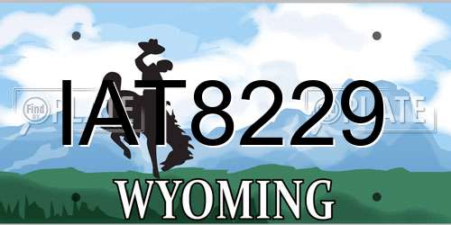 IAT8229 Wyoming License Plate