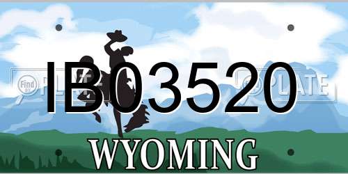 IB03520 Wyoming License Plate