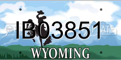 IB03851 Wyoming License Plate