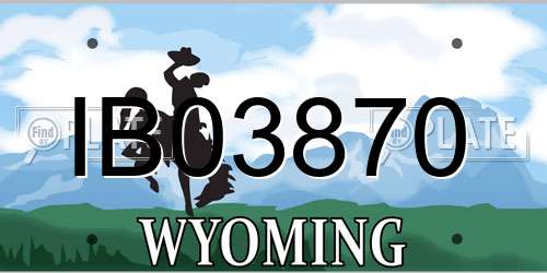 IB03870 Wyoming License Plate