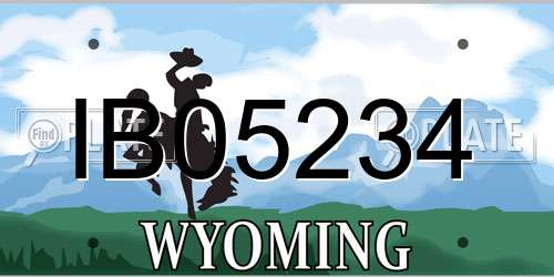 IB05234 Wyoming License Plate