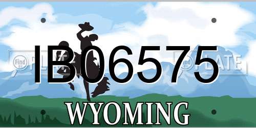 IB06575 Wyoming License Plate