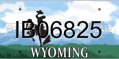 IB06825 Wyoming License Plate