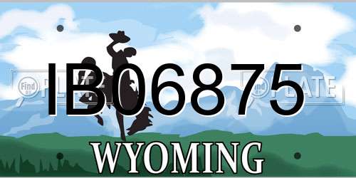 IB06875 Wyoming License Plate