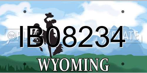 IB08234 Wyoming License Plate
