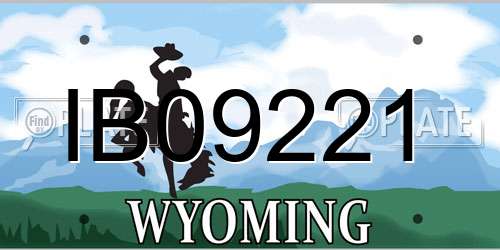 IB09221 Wyoming License Plate