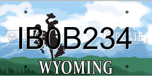 IB0B234 Wyoming License Plate