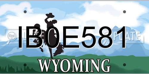 IB0E581 Wyoming License Plate