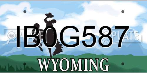 IB0G587 Wyoming License Plate
