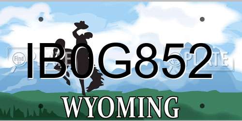 IB0G852 Wyoming License Plate