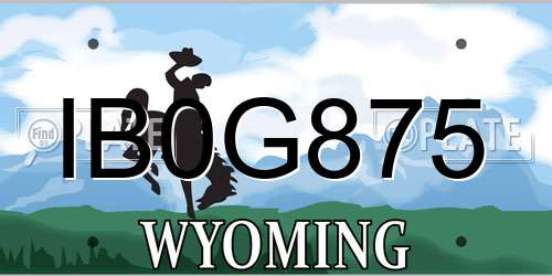 IB0G875 Wyoming License Plate