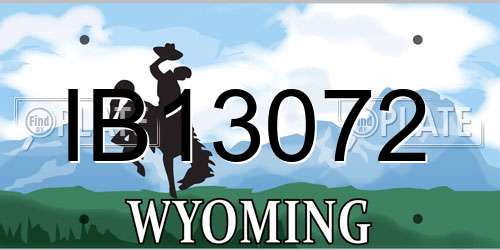 IB13072 Wyoming License Plate