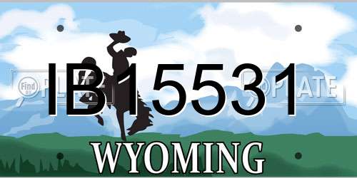 IB15531 Wyoming License Plate